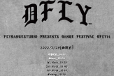 【DFLY14】ウェブパンレット一部先行公開!!